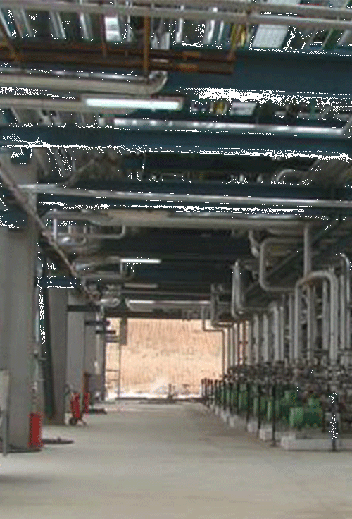 Environmental display